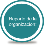 Reporte de la Organizaci&oacute;n
